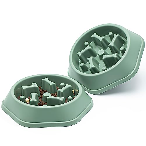 2pcs Hundeschüssel Hund Langsame Feeder Schüsseln Bloat Stop Food Bowl Interaktives Puzzle Gesunde Essschüssel (2pcs,grün) von Junhonsion