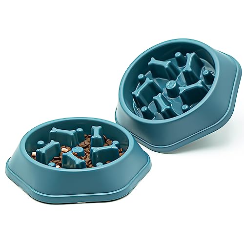 2pcs Hundeschüssel Hund Langsame Feeder Schüsseln Bloat Stop Food Bowl Interaktives Puzzle Gesunde Essschüssel (2pcs,Marineblau) von Junhonsion