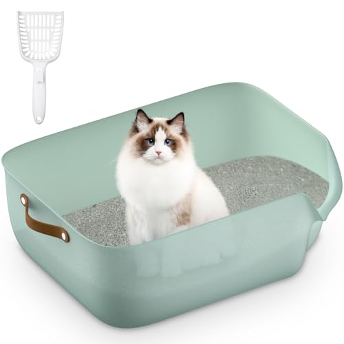 Katzenklo Groß - Offene Katzentoilette mit Ledergriff & Gratis Katzenstreuschaufel, Leicht zu Reinigen & Langlebiges Design, Transparent grün von Junhonsion
