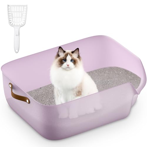 Katzenklo Groß - Offene Katzentoilette mit Ledergriff & Gratis Katzenstreuschaufel, Leicht zu Reinigen & Langlebiges Design, Transparent Lila von Junhonsion