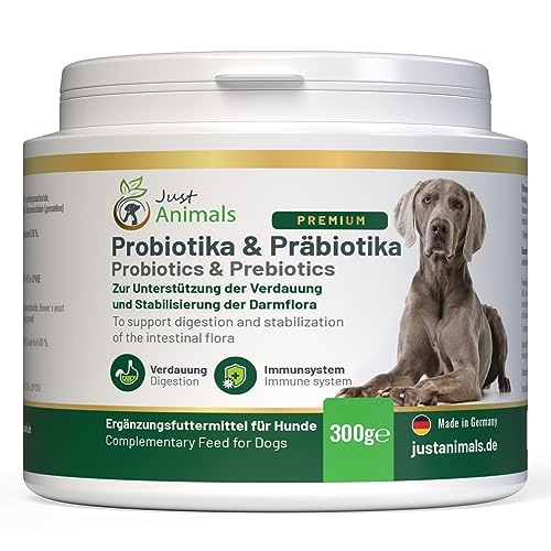 Probiotika & Präbiotika für Hunde zur Darmsanierung | Unterstützt den Aufbau der Darmflora & das Immunsystem | Fördert die Verdauung | Mit Bakterienkulturen | 300g Pulver inkl. Dosierlöffel… von Just Animals
