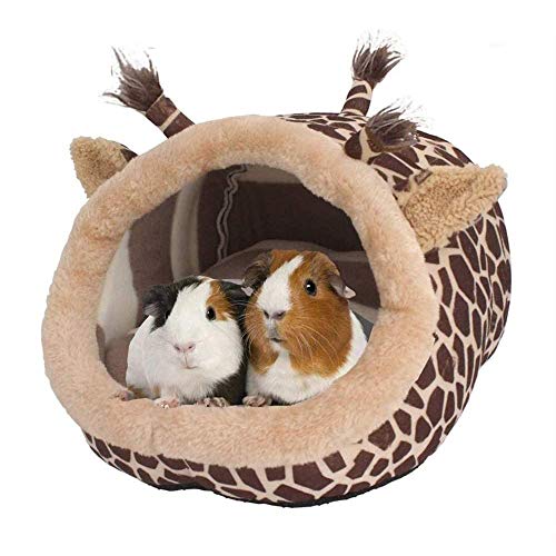 Juwaacoo Igel Meerschweinchen Bett Zubehör Käfig Spielzeug Bartdrachen Haus Lebensraum, XL von Juwaacoo