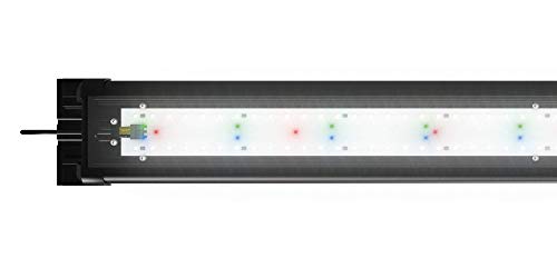 Juwel Aquarium - HeliaLux Spectrum 550 - Hochleistungs-LED-Einsatzleuchte mit vollem Lichtspektrum von Juwel Aquarium