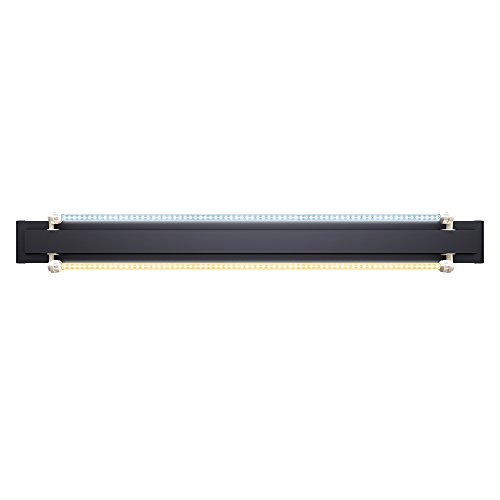 Juwel Aquarium - MultiLux LED Einsatzleuchte 92 cm - passend für Vision 180 von Juwel Aquarium