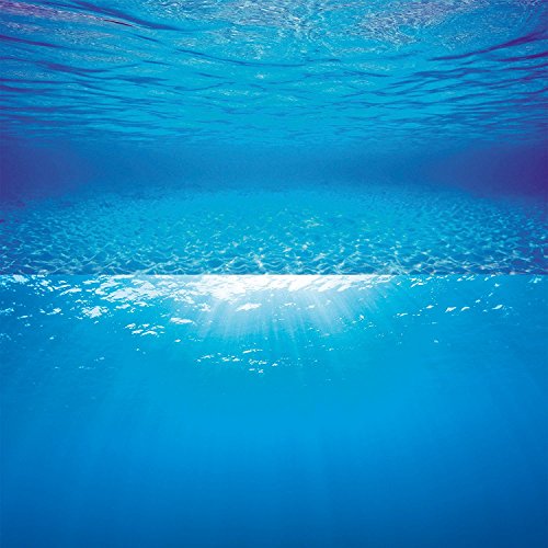 Juwel Aquarium - Poster 2 L - passend für Aquarien 80 x 50 cm bis 100 x 50 cm von Juwel Aquarium