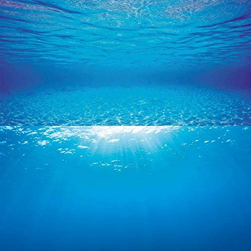 Juwel Aquarium - Poster 2 S - passend für Aquarien 60 x 30 cm von Juwel Aquarium