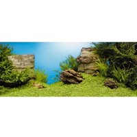 JUWEL Aquarienrückwand Unterwasserlandschaft von Juwel