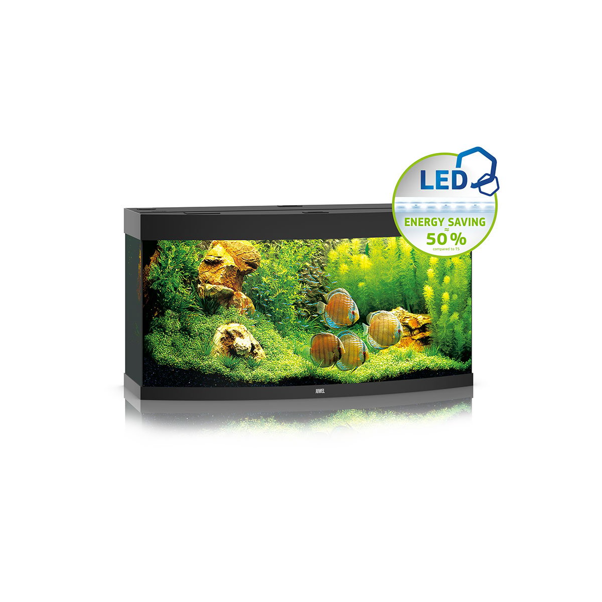 Juwel Komplett-Aquarium Vision 260 LED ohne Unterschrank schwarz von Juwel