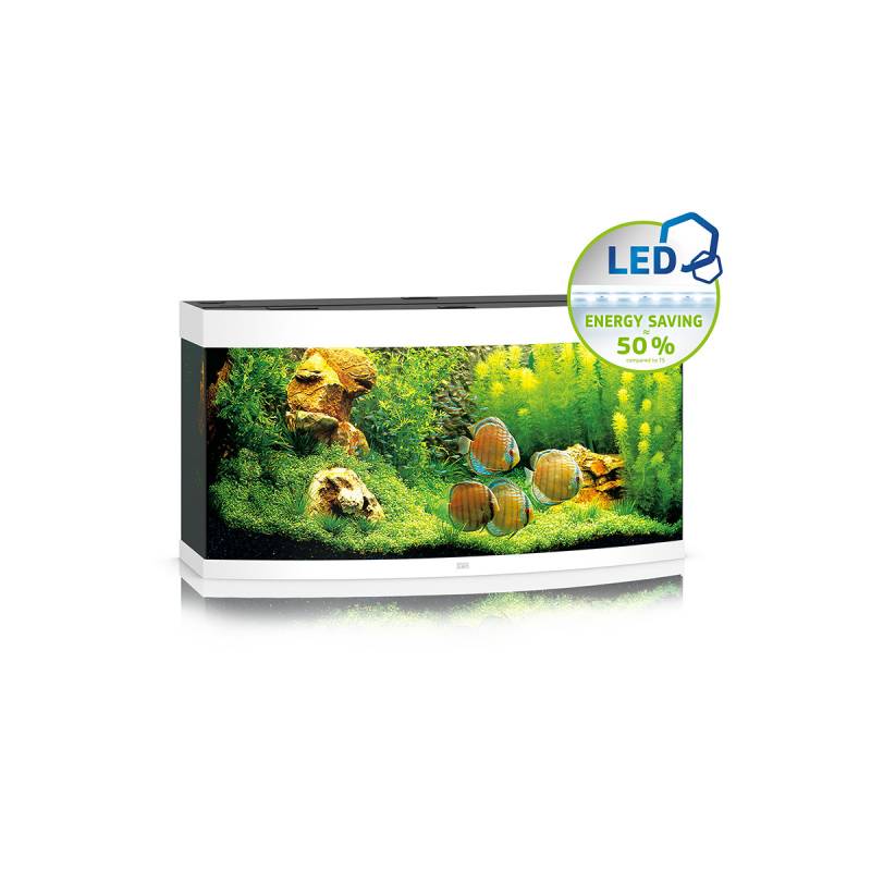 Juwel Komplett-Aquarium Vision 260 LED ohne Unterschrank weiß von Juwel