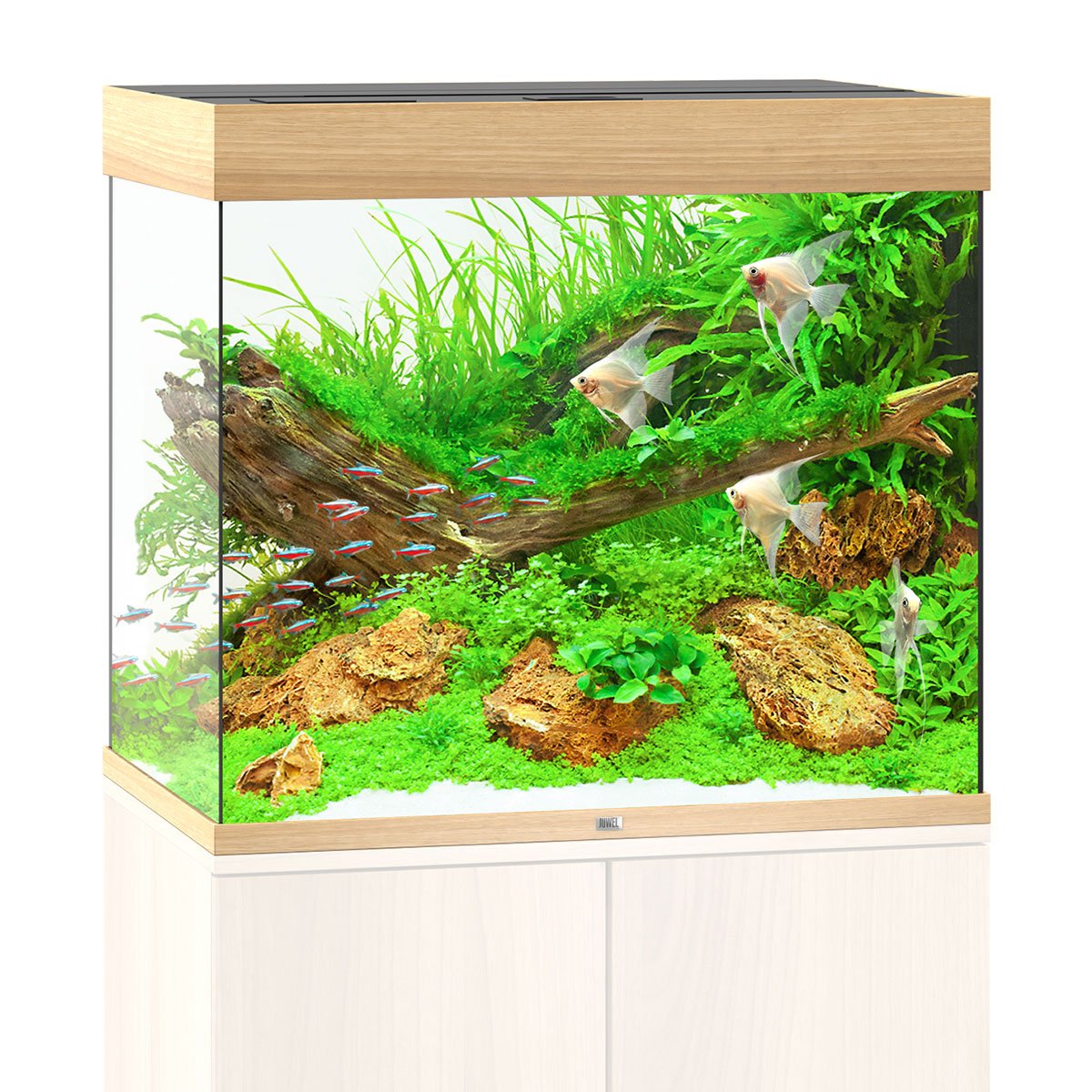 Juwel Lido 200 LED Komplett Aquarium ohne Schrank helles holz von Juwel