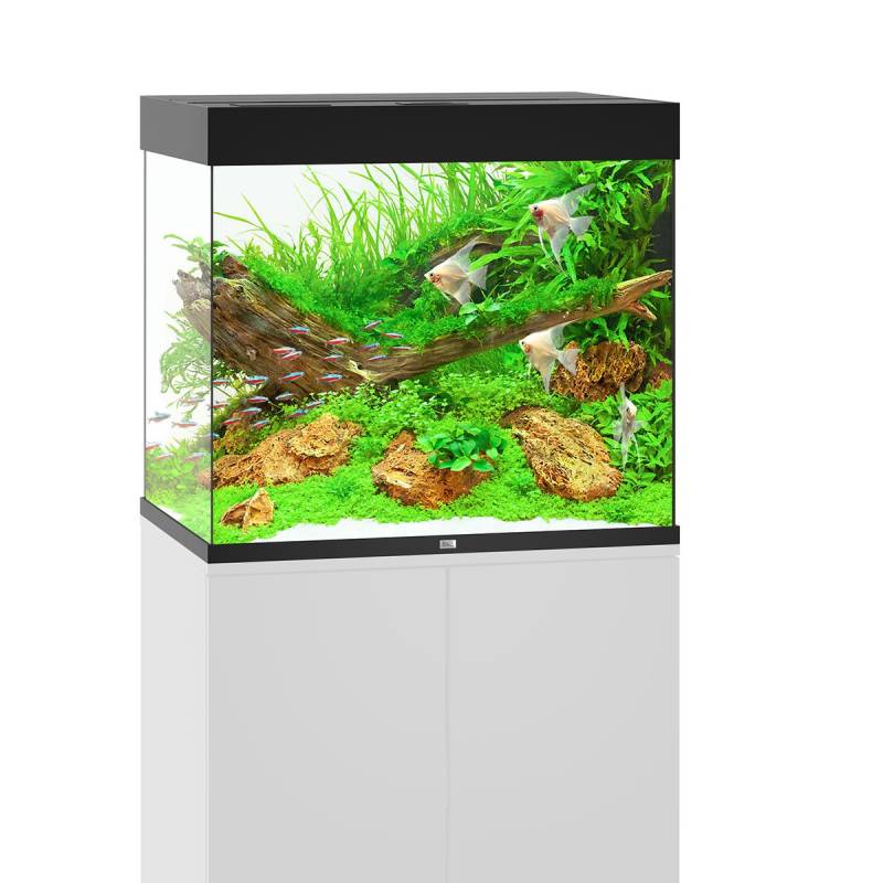Juwel Lido 200 LED Komplett Aquarium ohne Schrank schwarz von Juwel