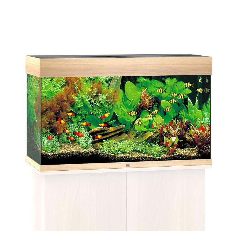 Juwel Rio 125 LED Komplett Aquarium ohne Schrank helles holz von Juwel