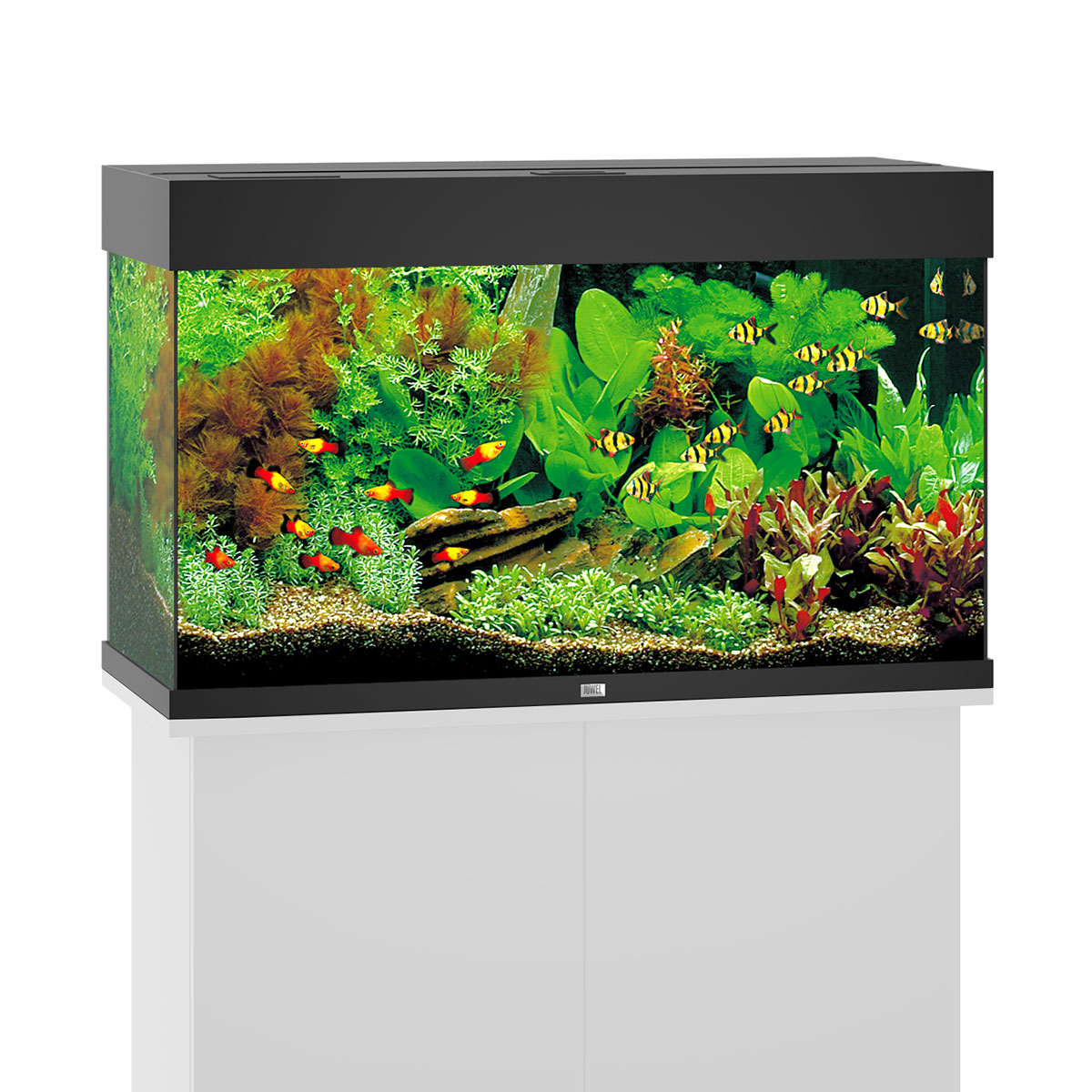 Juwel Rio 125 LED Komplett Aquarium ohne Schrank schwarz von Juwel