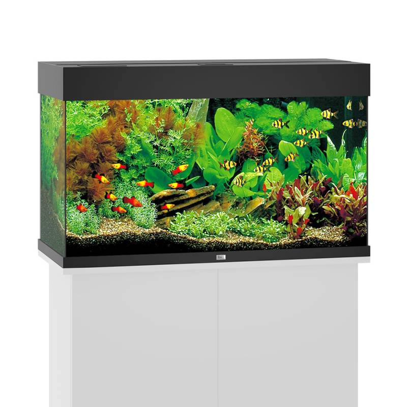 Juwel Rio 125 LED Komplett Aquarium ohne Schrank schwarz von Juwel