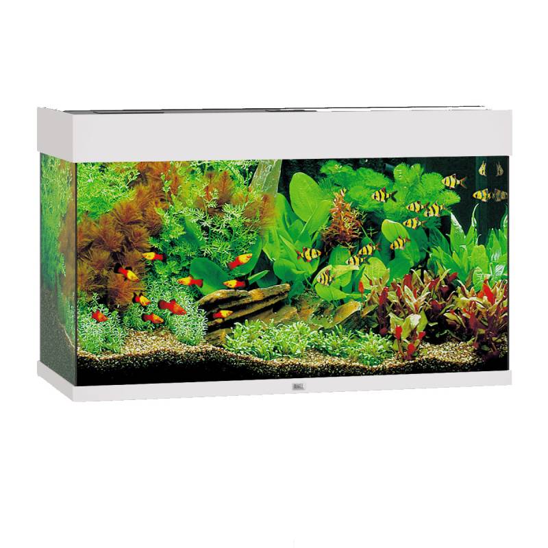 Juwel Rio 125 LED Komplett Aquarium ohne Schrank weiß von Juwel