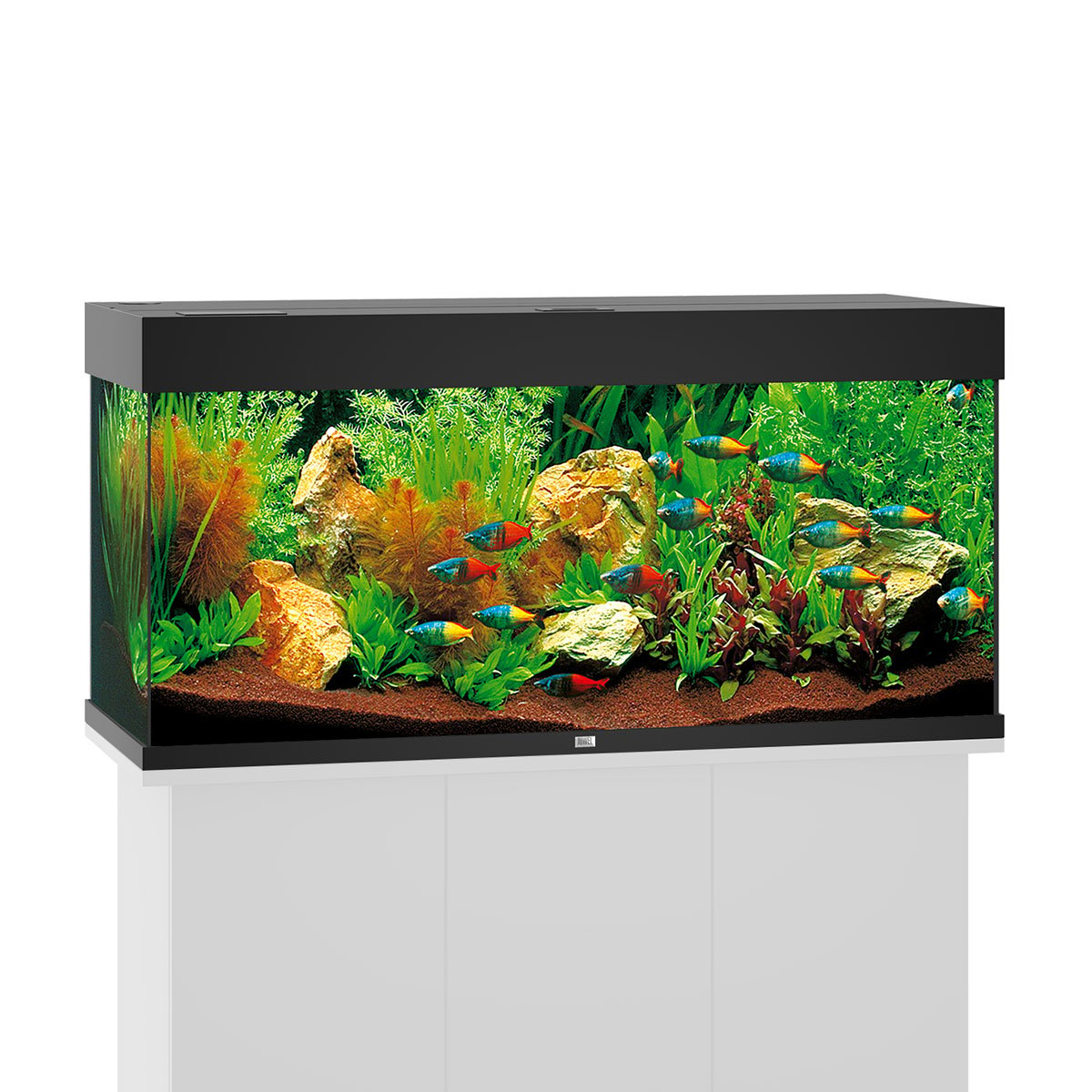 Juwel Rio 180 LED Komplett Aquarium ohne Schrank schwarz von Juwel