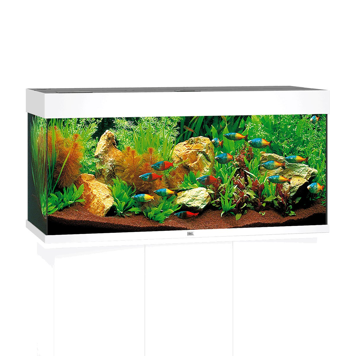 Juwel Rio 180 LED Komplett Aquarium ohne Schrank weiß von Juwel