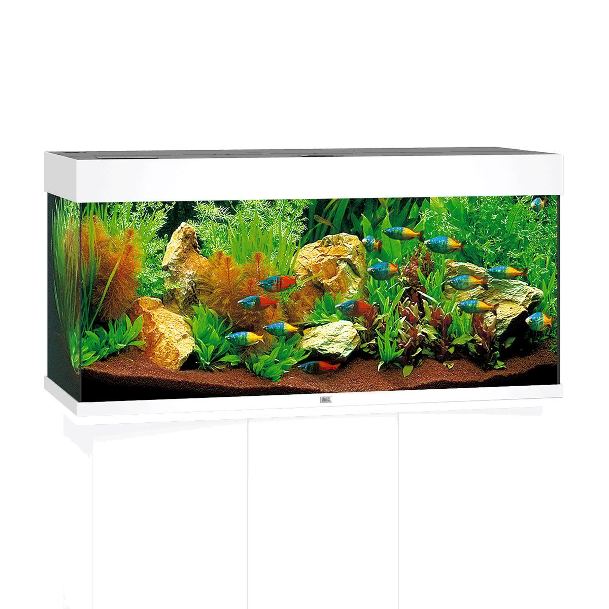 Juwel Rio 180 LED Komplett Aquarium ohne Schrank weiß Juwel Rio 180 LED Komplett Aquarium ohne Schrank weiß von Juwel