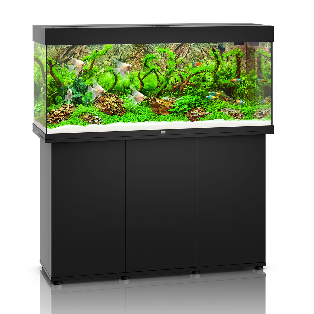 Juwel Rio 240 LED Komplett Aquarium mit Unterschrank SBX schwarz Juwel Rio 240 LED Komplett Aquarium mit Unterschrank SBX schwarz von Juwel