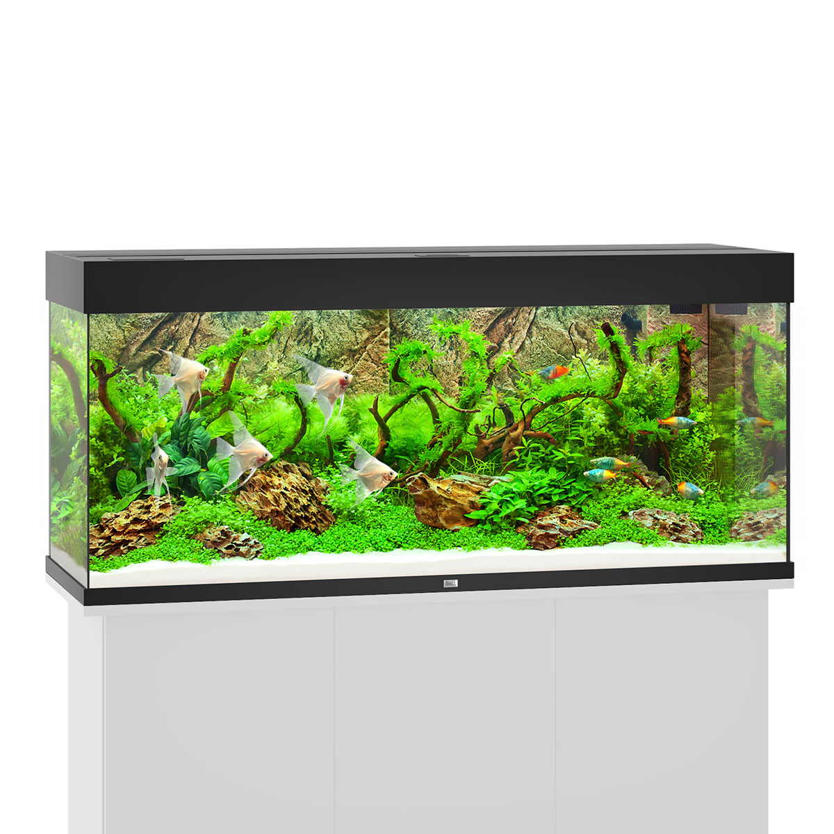 Juwel Rio 240 LED Komplett Aquarium ohne Schrank schwarz von Juwel
