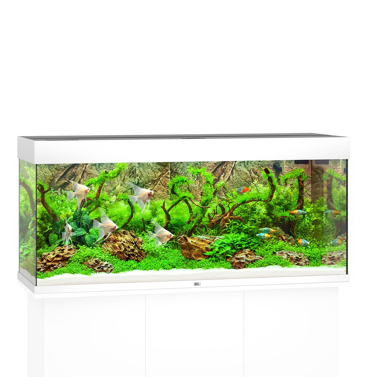 Juwel Rio 240 LED Komplett Aquarium ohne Schrank weiß von Juwel
