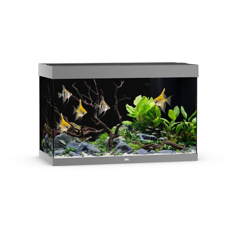 Juwel Rio 290 LED Aquarium Grau von Juwel