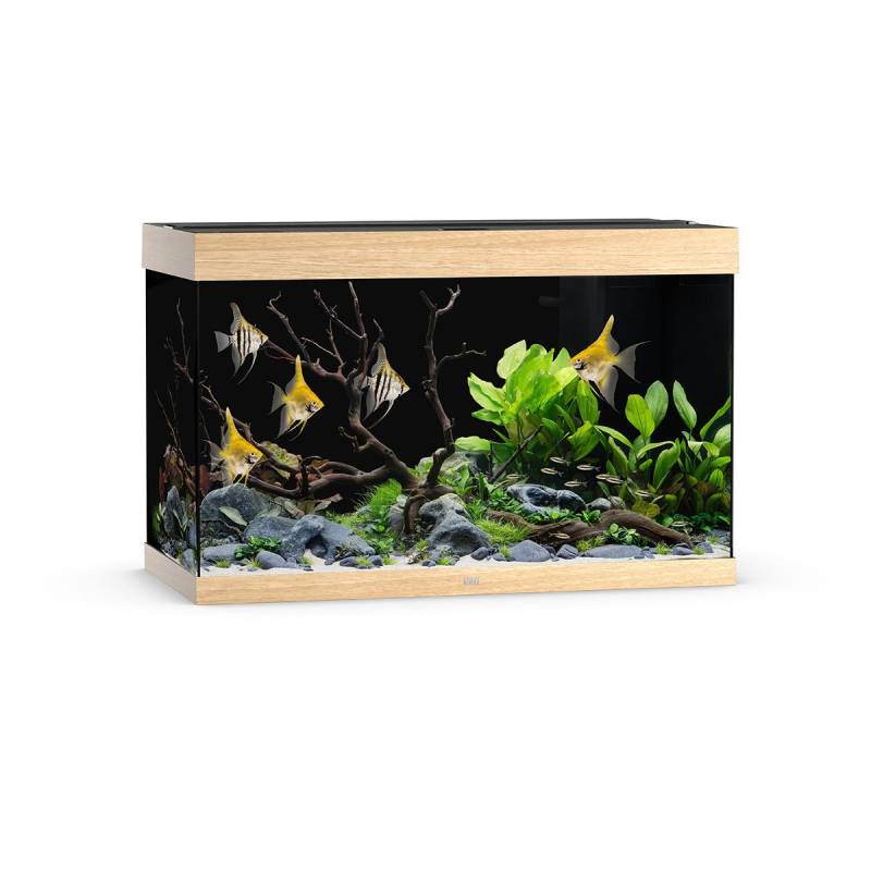 Juwel Rio 290 LED Aquarium Helles Holz von Juwel