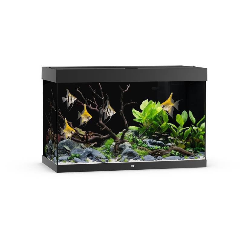 Juwel Rio 290 LED Aquarium Schwarz von Juwel