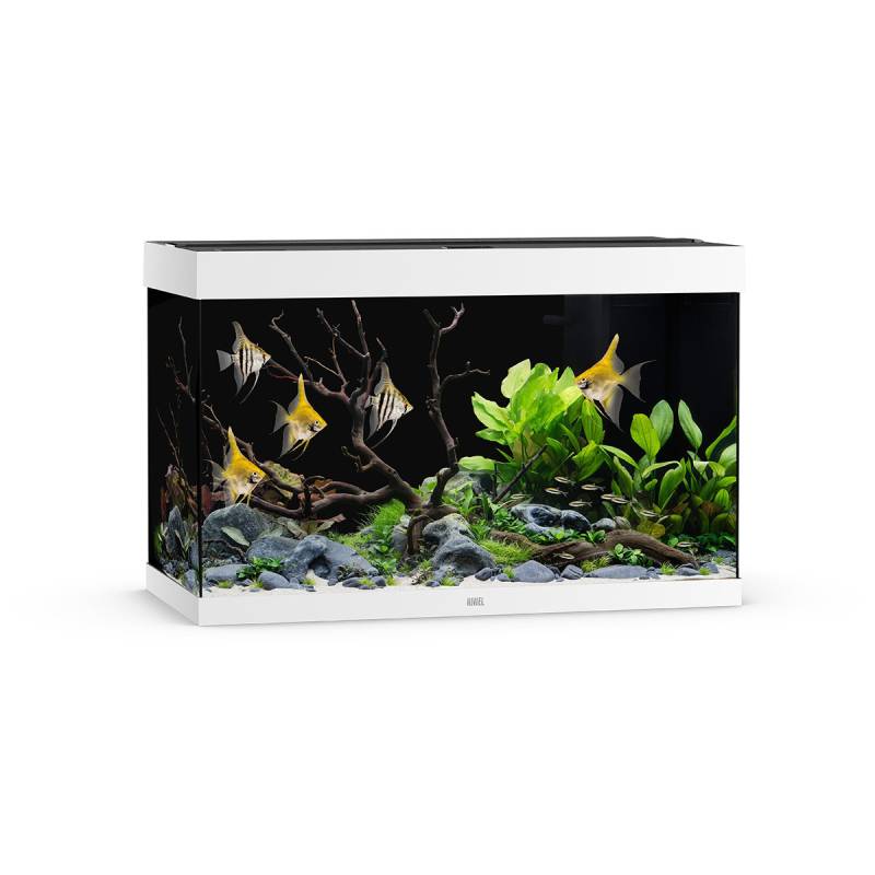 Juwel Rio 290 LED Aquarium Weiß von Juwel