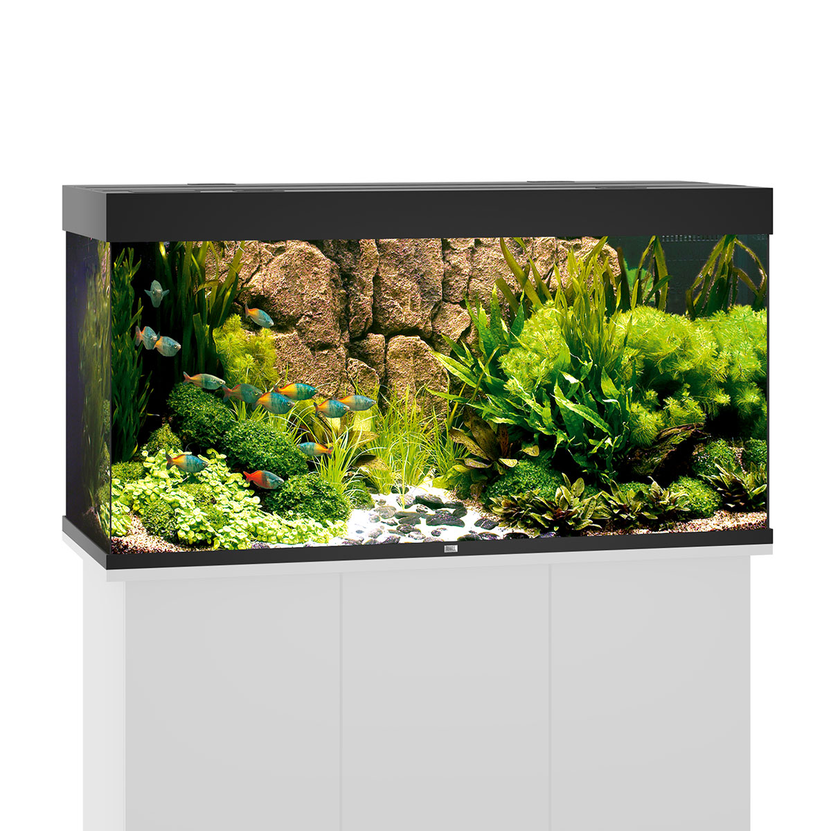 Juwel Rio 350 LED Komplett Aquarium ohne Schrank schwarz Juwel Rio 350 LED Komplett Aquarium ohne Schrank schwarz von Juwel