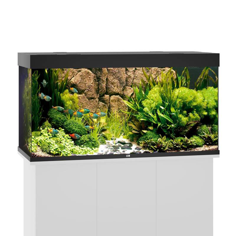 Juwel Rio 350 LED Komplett Aquarium ohne Schrank schwarz von Juwel
