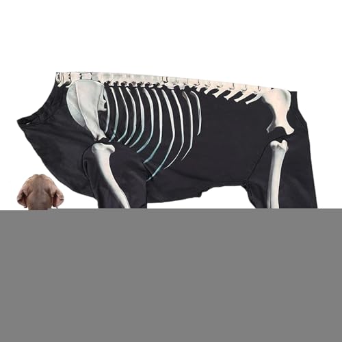 Jvjggag Hundekostüm, Skelett-Kostüm, Welpen-Body, Haustier-Halloween-Kleidung für tägliche Feiern, Versammlungen, Reisen, Cosplay, Outdoor, Freunde, Zuhause von Jvjggag
