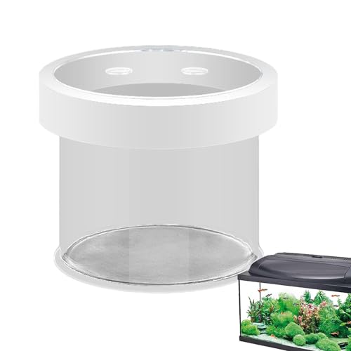 Jvjggag Schwimmende Zuchtbox für Fische, schwimmende Zuchtbox für Aquarien, Durchsichtige Inkubationsbox, Fischzucht-Isolationsbox, Fischtrenner für Aquarien, Aquarium-Inkubator für Babyfische, Jvjggag Schwimmende Zuchtbox für Fische, schwimmende Zuchtbox für Aquarien, Durchsichtige Inkubationsbox, Fischzucht-Isolationsbox, Fischtrenner für Aquarien, Aquarium-Inkubator für Babyfische, von Jvjggag