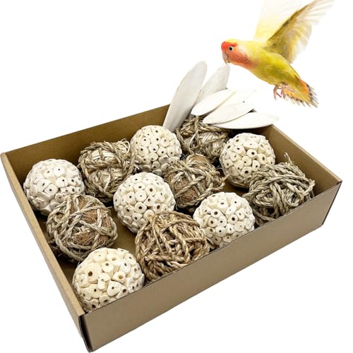 Jwizyotr Bird Toys Sola Balls Sittichspielzeug, Cuttlebone mit natürlichen, weichen Kaugraskugeln für Papageien, Sittiche, Kaninchen, Hamster, Meerschweinchen, Chinchilla, Stil 2, 18 Stück Jwizyotr Bird Toys Sola Balls Sittichspielzeug, Cuttlebone mit natürlichen, weichen Kaugraskugeln für Papageien, Sittiche, Kaninchen, Hamster, Meerschweinchen, Chinchilla, Stil 2, 18 Stück von Jwizyotr