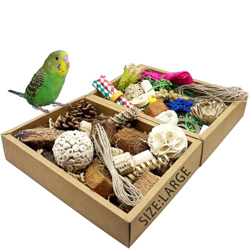 Jwizyotr Vogelspielzeug, Vogelfutterbox, Papageienspielzeug, Vogelspielzeug für Sittiche mit Papierschublade, natürliche und bunte Vielfalt für Futtersuche und Kauspielzeug für Papageien, Sittiche, Jwizyotr Vogelspielzeug, Vogelfutterbox, Papageienspielzeug, Vogelspielzeug für Sittiche mit Papierschublade, natürliche und bunte Vielfalt für Futtersuche und Kauspielzeug für Papageien, Sittiche, von Jwizyotr