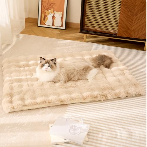 Jyswx Waschbare Plüsch-Hundebett-Matte – weiche und flauschige Matratze mit rutschfester Unterseite, perfekt für kleine bis große Hunde, Beige, 50 x 90 cm Jyswx Waschbare Plüsch-Hundebett-Matte – weiche und flauschige Matratze mit rutschfester Unterseite, perfekt für kleine bis große Hunde, Beige, 50 x 90 cm von Jyswx