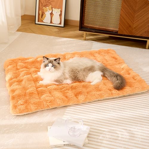Jyswx Waschbare Plüsch-Hundebett-Matte – weiche und flauschige Matratze mit rutschfester Unterseite, perfekt für kleine bis große Hunde, Orange, 70 x 100 cm Jyswx Waschbare Plüsch-Hundebett-Matte – weiche und flauschige Matratze mit rutschfester Unterseite, perfekt für kleine bis große Hunde, Orange, 70 x 100 cm von Jyswx