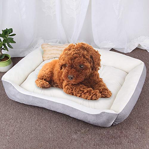 Hundematte mit Knochenmuster, groß, weich, warm, Größe: M 70 x 50 x 15 cm (Schwarz/Grau) (Farbe: Schwarz, Rot) (Grauweiß) von Jyuiipcz