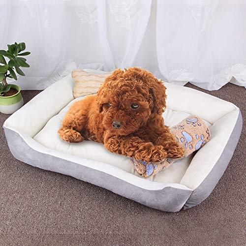 Hundematte mit Knochenmuster, groß, weich, warm, mit Decke, Größe: L 80 x 60 x 15 cm (Schwarzgrau) (Farbe: Hellgrau) (Grau) (Grauweiß) von Jyuiipcz