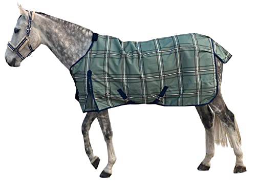 Jyuiipcz Pferdedecke, 1200D wasserdicht, für den Winter, warm, Pferdeteppich, Standardhals-Pflegedecke, Himmelblau 74, Grün kariert 68 Jyuiipcz Pferdedecke, 1200D wasserdicht, für den Winter, warm, Pferdeteppich, Standardhals-Pflegedecke, Himmelblau 74, Grün kariert 68 von Jyuiipcz