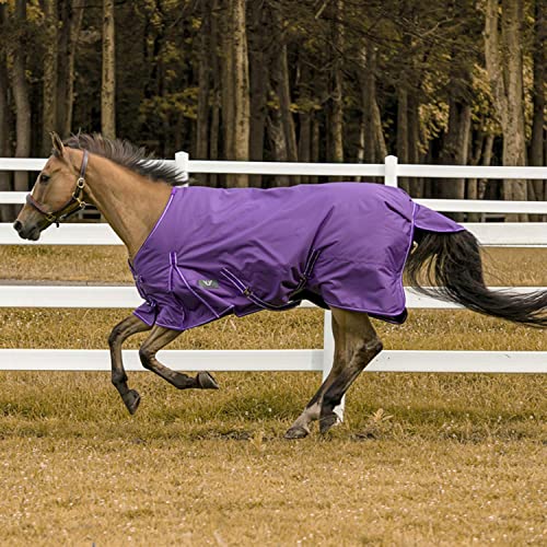 Jyuiipcz Pferdedecke 600D Winter, winddicht, warm, Pferdepflegedecke, bequeme Weidedecke, Ripstop-Pflegedecke, Royal 78, Violett 69 Jyuiipcz Pferdedecke 600D Winter, winddicht, warm, Pferdepflegedecke, bequeme Weidedecke, Ripstop-Pflegedecke, Royal 78, Violett 69 von Jyuiipcz