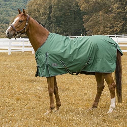 Jyuiipcz Pferdedecke 600D Winter winddicht warm Pferdepflegedecke bequeme Weidedecke Ripstop-Pferdepflegedecke (Royal 78) (Hunter 87) von Jyuiipcz