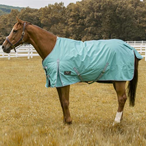 Jyuiipcz Pferdedecke 600D Winter winddicht warm Pferdepflegedecke bequeme Weidedecke Ripstop-Pferdepflegedecke (Royal 78) (Türkis 69) von Jyuiipcz