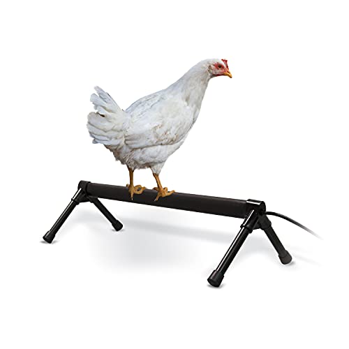 K&H PET PRODUCTS 55W Thermo-Chicken Perch, 36", Gray von K&H PET PRODUCTS