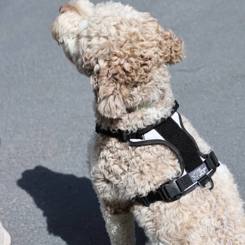 K9 Sport Sack Harness - Lunar Rock - L K9 Sport Sack Harness - Lunar Rock - L von K9 Sport Sack