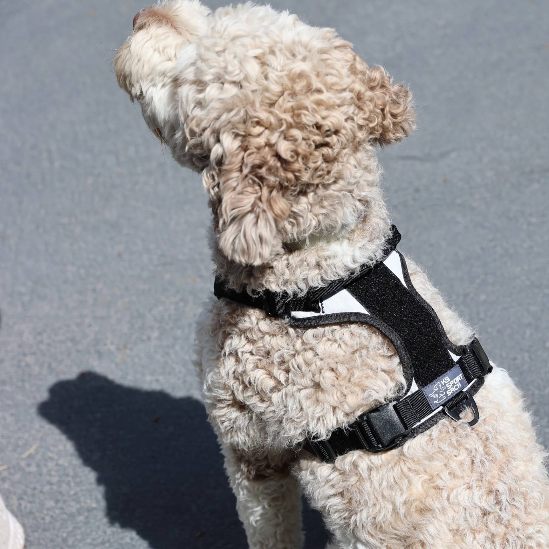 K9 Sport Sack Harness - Lunar Rock - M K9 Sport Sack Harness - Lunar Rock - M von K9 Sport Sack