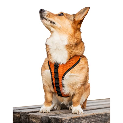 K9 Sport Sack Hundegeschirr mit Stickerei, Größe M, Orange (Sunset Orange) von K9 Sport Sack