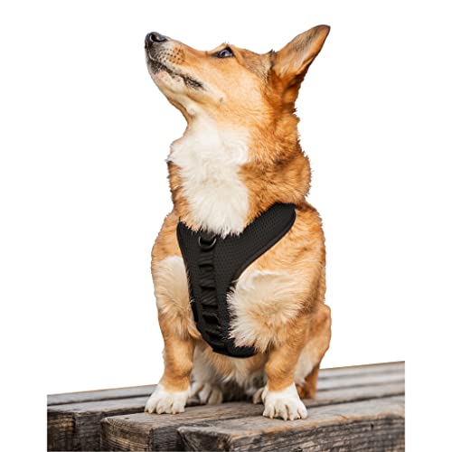 K9 Sportgeschirr mit optionaler Stickerei, Größe S (33–38,1 cm Halsumfang, 33–45,7 cm Brustumfang), Anthrazitschwarz von K9 Sport Sack