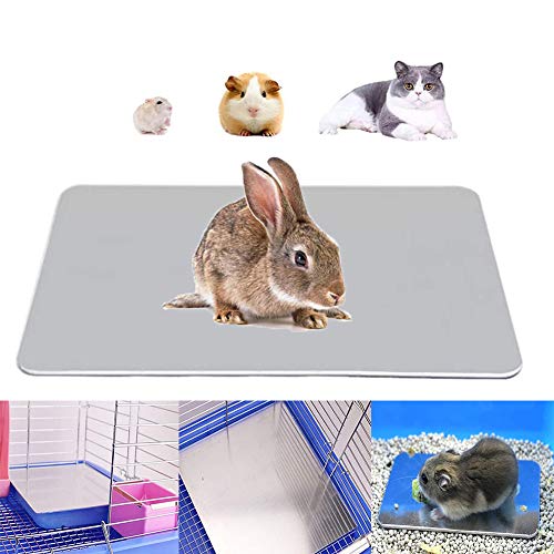 TESLUCK Kühlmatte für Kaninchen, Aluminium, Haustiere, Hamster, kühlende Eismatte Welpen, Kätzchen, Meerschweinchen, Chinchilla und andere Kleintiere, kühlt schnell, Größe L: 30,5 x 20,3 cm. TESLUCK Kühlmatte für Kaninchen, Aluminium, Haustiere, Hamster, kühlende Eismatte Welpen, Kätzchen, Meerschweinchen, Chinchilla und andere Kleintiere, kühlt schnell, Größe L: 30,5 x 20,3 cm. von KABASI