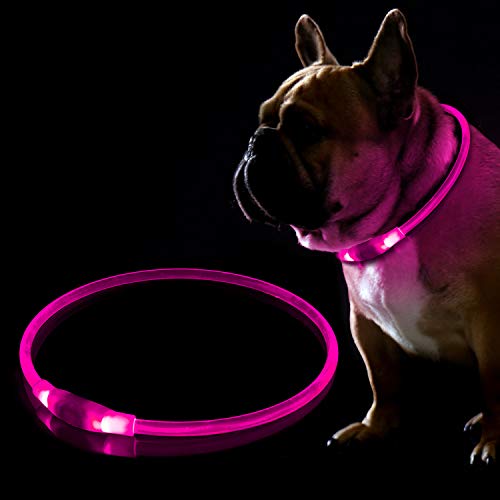 KABB LED Hundehalsband, USB Wiederaufladbares Blinkhalsband für die Sicherheit bei Nacht, Verstellbares, Wasserdichtes, Hell Beleuchtetes Halsband für Hunde - Eine Grösse passt Allen, Rosa von KABB